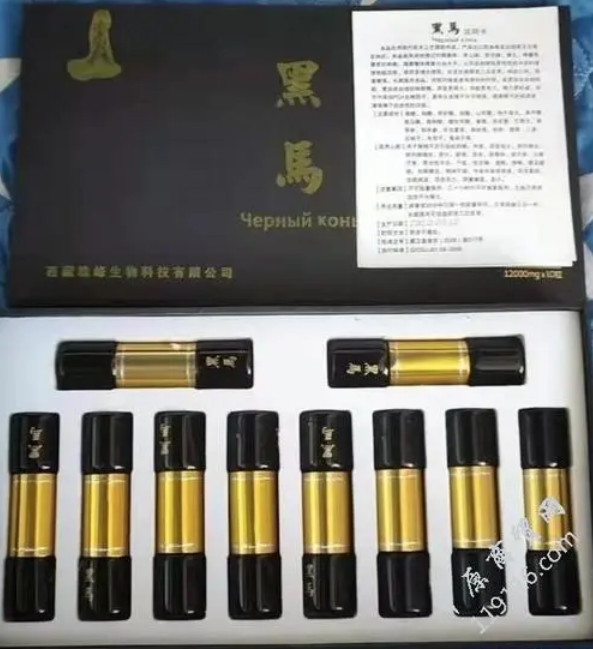 西藏珠峰黑马.png
