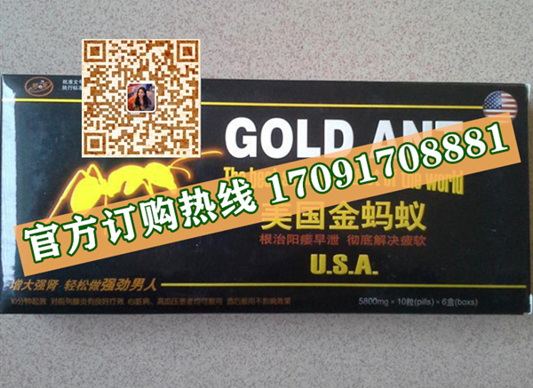 美国金蚂蚁_副本.jpg