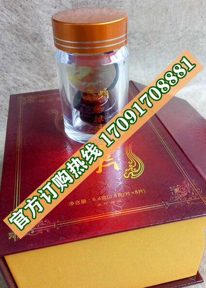 参蛹雄根片22_副本.jpg