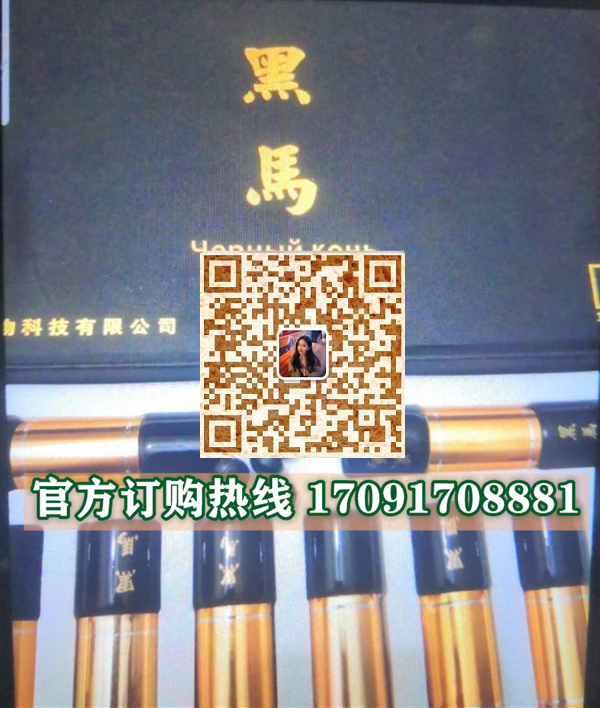 西藏珠峰黑马22_副本.jpg