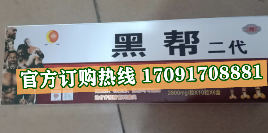 黑帮二代11_副本.png