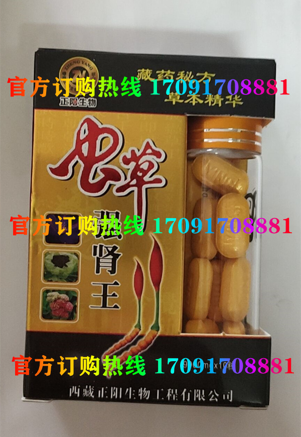 70691f0f2548b7b9843190fdac416e38_194-24122Q5545HO.jpg