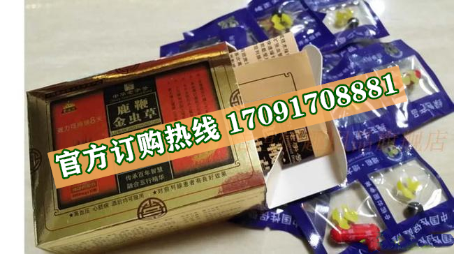 2cbc3b643c58e856a4952d15733e5315_194-241224211503512.jpg
